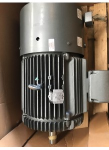 VECTOR MOTOR 30KW 1500 TEBC